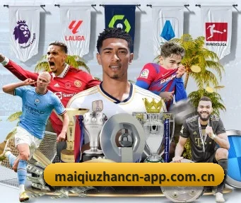 买球站 APP | maiqiuzhan